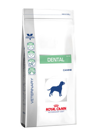 Dental